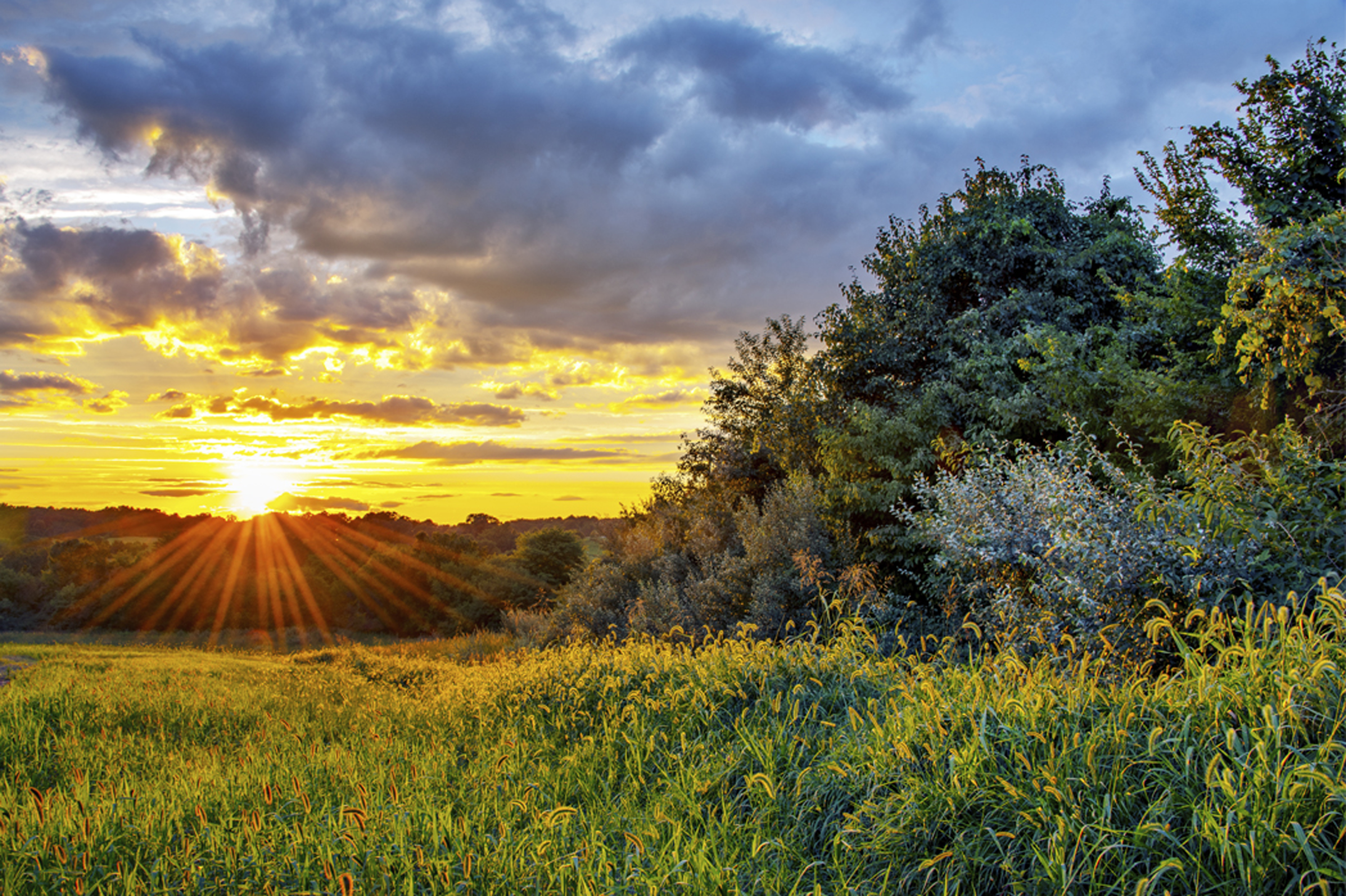 Route 17 Sunset by Dave Kennedy – Fredericksburg Center for the ...