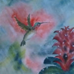 Going for the Red (Hummingbird and Dew Drops), Sumi Watercolor by Carol Waite, Size 20in x 15in (June 2017)