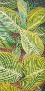Greatness of Greens, Acrylic by Charlotte Burrill- Size 20in x 10in (August 2016)