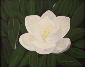 Magnolia Perfection, Oil by Linda M. Ward- Size 11in x 14in (August 2016)