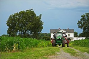 Spotsy Tractor, Photography by Dawn Whitmore - Size 8in x 12in (August 2016)