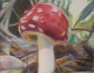 The Toadstool, Pastel by Annie Jedick (June 2012)
