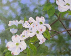 Dogwood in Bloom, Acrylic by Dorothy Johnston (June 2012)