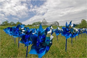 Lewis Pinwheels, Photography by Dawn Whitmore, Size 8in x 12in x 1in (July 2017)