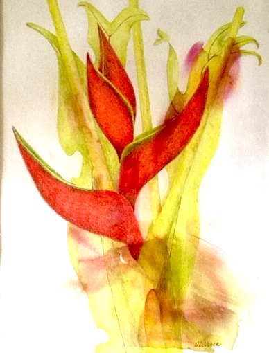 Lobster Claw and Philodendron Xandra, Colored Pencil on Watercolor Monotype by Ann Currie, 12.5x9.5, $300 (October 2017)