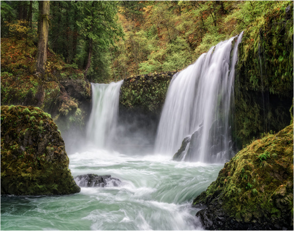 FIRST PLACE: Spirit Falls, Donnie Fulks, 11in x 14in, $275 (February 2018)