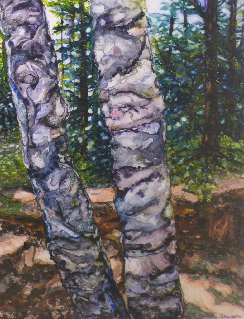 HONORABLE MENTION: Douglas Hill, watercolor on Yupo by Suzanne Stewart, Size 26in x 19.5in (October 2013)