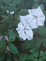 White Vinca, a painting by Kathy Guzman (MG: April 2013)