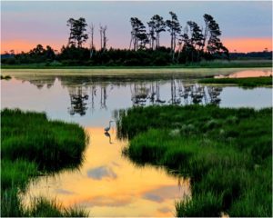 Chincoteague Sunrise, Photography by Penny A. Parrish, 16in x 20in, $200 (February 2019)