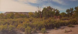 Desert Deserted, Photography by Lee Cochrane, 10.5in x 24in, $180 (February 2019)