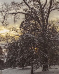 Fresh Morning Snow, Photography by Buddy Lauer, 19in x 15in, $125 (February 2019)