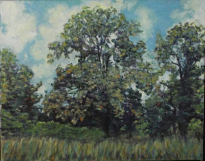 Chestnut Tree In Summer, Acrylic by Rosemary Duda, 11inx 14in, $285 (May 2019)