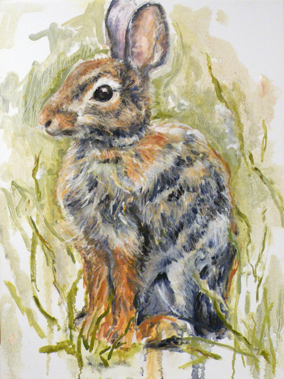 Hare Alert by Charlotte Richards (MG: March 2014)