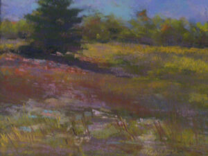 Early Fall Field, Pastel by Kathleen Willingham (November 2013)