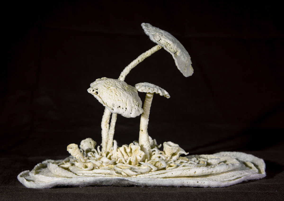 Mushroom Lichen by Joyce Leatherwood (MG: May 2016)