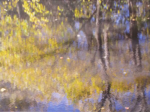 Autumn on the Canal Photograph on Canvas by Lee Cochrane (April 2016)
