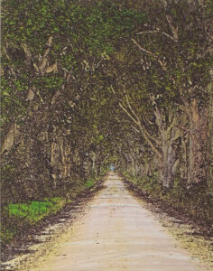 Florida Country Road, Digitally Manipulated Photograph by Lee Cochrane (February 2016)