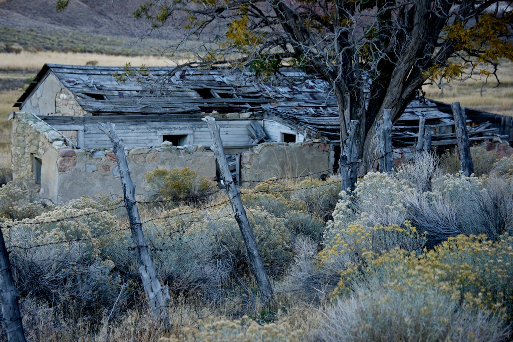 Nevada Neglect by Lee Cochrane (MG: September 2015)