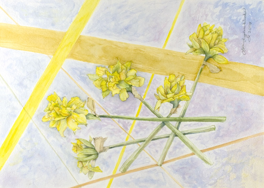 Daffodil by Lorrie Tucker (MG: June 2014)