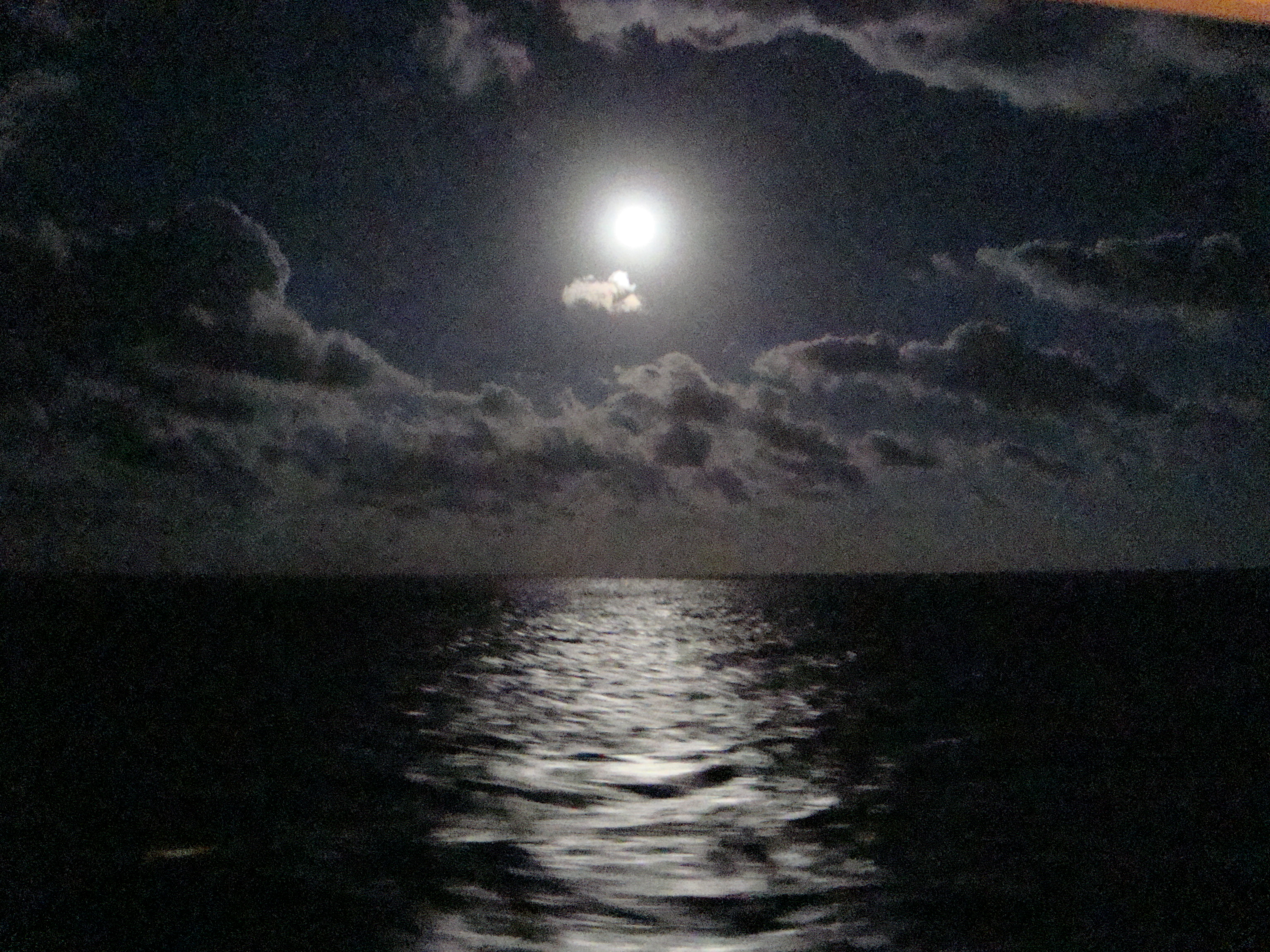Moonlight Bay by Joseph Maddox (MG: October 2015)