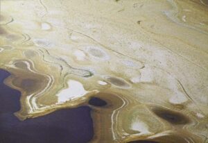 Desert Oasis, photography on canvas by Rachael Carrol (November 2013)