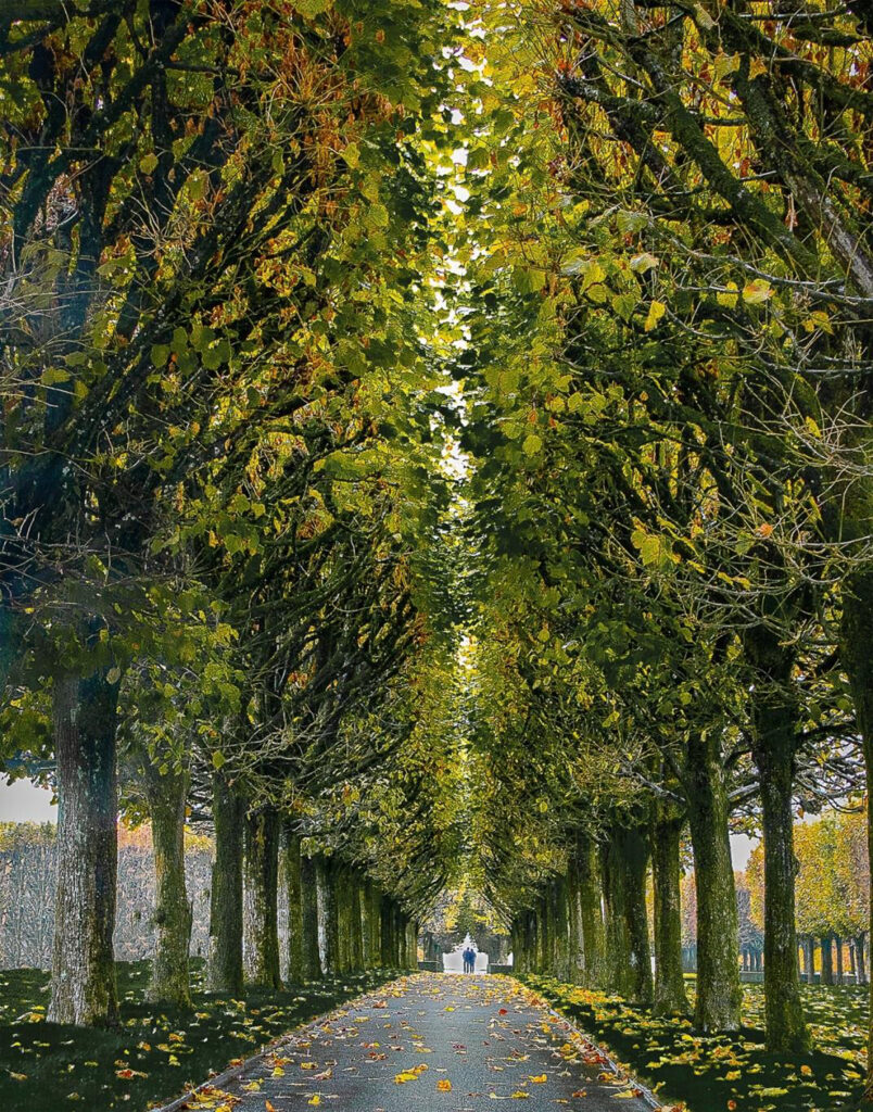 HONORABLE MENTION: Path in St. Mihiel, Photography by Jeanne Jackson, 14in x 11in, $175 (February 2020)