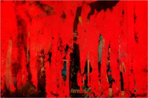 Difference in Red, Photograph Metallic Print by Anne E Tate (July 2014)