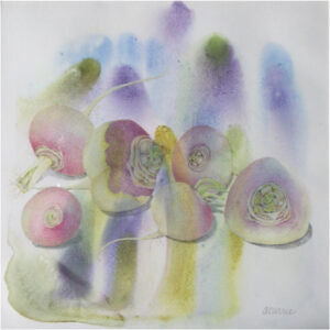 Turnips, Colored Pencil on Watercolor Monotype by Ann Currie (May 2016)