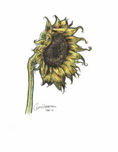 Sunflower, Mixed Media by Cedric Harrison, $100 (Aug. 2020-Jan. 2021 CBTC)