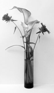 Summer in a Bud Vase, Photograph by Lee Cochrane, 12in x 7in (November 2020)