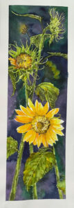 Sunflower 1, Watercolor by Susan Wyatt, 23in x 8.2in, $275 (November 2020)