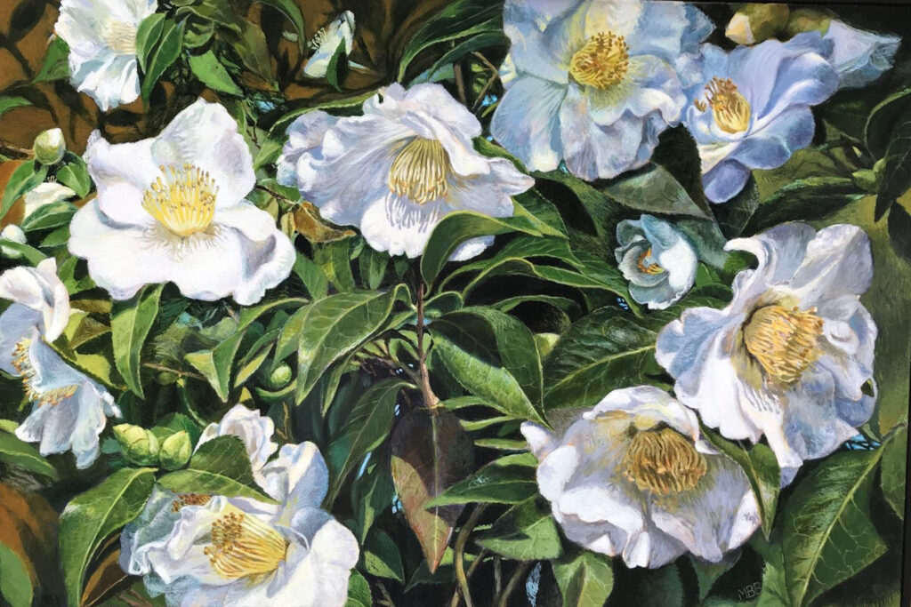 SECOND PLACE: Camellias from Lewis Ginter, Acrylic on Canvas by Mary Beatty-Brooks, 20in x 30in, $1200 (Dec. 2020 - Jan. 2021)