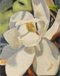 Magnolia, Oil on Linen by Michele Vonnegut Costello, 14in x 11in, $350 (Dec. 2020 - Jan. 2021)
