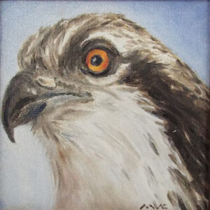 Osprey, Oil on Canvas by Michele Vonnegut Costello, 6in x 6in, $175 (Dec. 2020 - Jan. 2021)