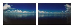 Cherry Point Diptych, Color Photography by Cathy C Herndon  (September 2015)
