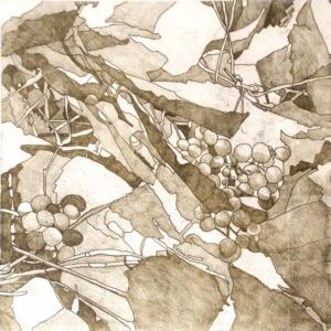 Grapevines, Monotype by Christine E Long (February 2015)