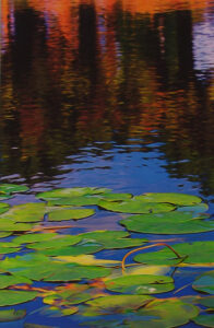 Pond Colors, Photography by David C Kennedy  (February 2015)