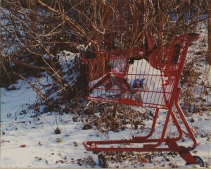 Red Shopping Cart, Photography by Dawn Whitmore  (March 2015)