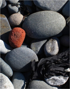Maine Stones, Photography by Joanne Emery  (March 2015)