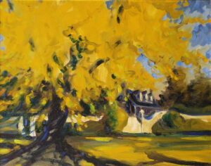 The Great Ginkgo at Chatham, Oil by Marcia Chaves  (Dec. 2015-Jan. 2016)