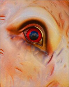 Carousel Eye, Photography on Metal by Penny Parrish  (May 2015)