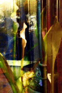 Reflections, Digital Creation by Carolyn R Beever, 18in x 12in, $150 (March 2021)