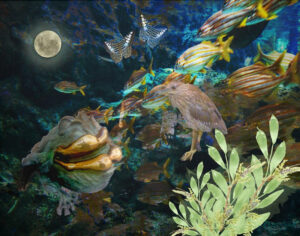 Underwater World, Digital Photo Composite by Taylor Cullar, 11in x 14in, $100 (March 2021)