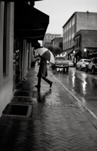 Black and White in Savannah, Digital Photograph by Krista Catron, 17in x 11in, $179 (April 2021)
