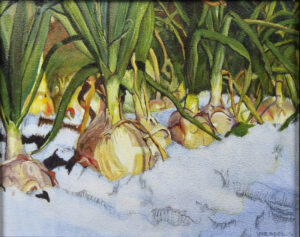 Onions in the Snow, Oil by Vicki Meadows, 7.5in x 9.5in, NFS (April 2021)