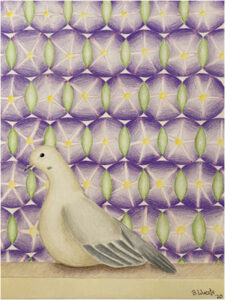 Unwelcome-Welcome- Morning Glory, Mourning Dove, Colored Pencil on Paper by Beka Wueste, 24in x 18in, $725 (May 2021)
