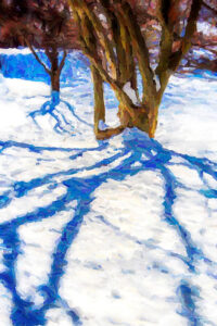Winter Shadows, Photo-Illustration by David C. Kennedy, 18in x 12in, $150 (Dec. 2021- Jan. 2022)