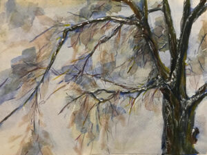 Winter, Watercolor on Paper by Elizabeth Shumate, 9in x 12in, $175 (Dec. 2021- Jan. 2022)