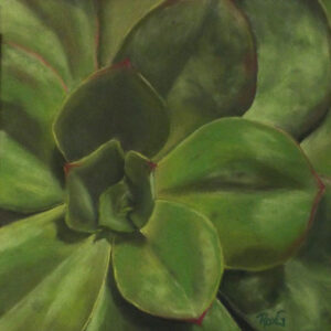 Succulent, Pastel by Roxana Genovese, 8.5in x 8.5in, $275 (March 2022)