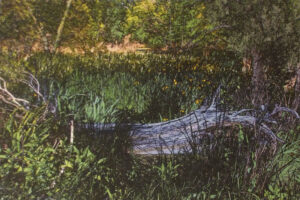 Down by the Marsh, Digitally Manipulated Photograph by Lee Cochrane, 12in x 16in, NFS (April 2022)